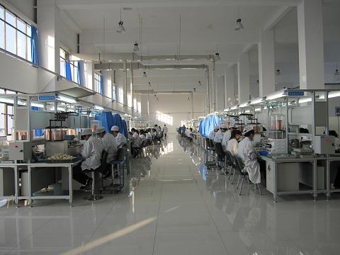 2025年新澳门全年资料免费大全